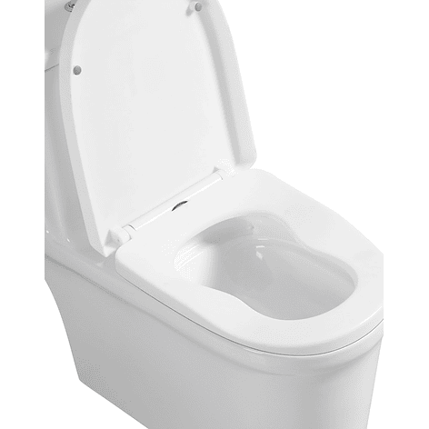 WC One Piece Premier 2051 Joytek Descarga a Piso 30 cm Blanco 3