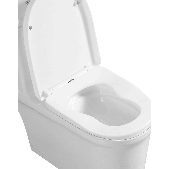 WC One Piece Premier 2051 Joytek Descarga a Piso 30 cm Blanco 3