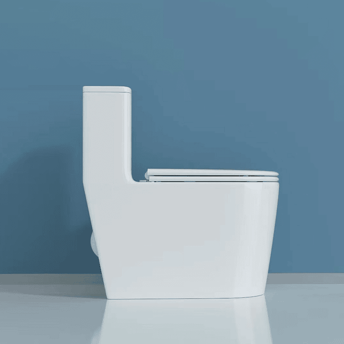 WC One Piece Joytek Demarks 2029 Descarga a Piso 30 cm 4