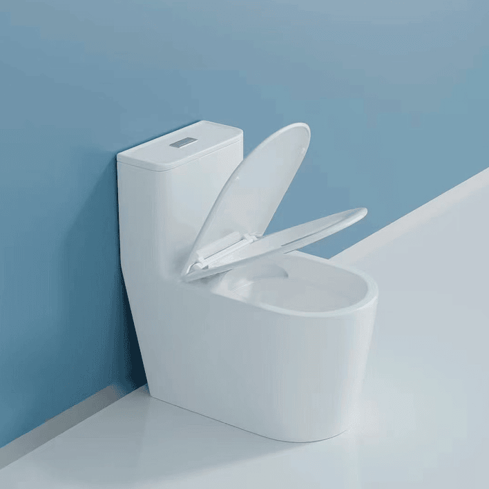 WC One Piece Joytek Demarks 2029 Descarga a Piso 30 cm 2