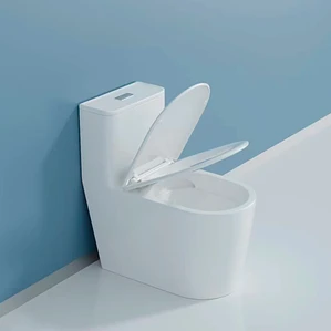 WC One Piece Joytek Demarks 2029 Descarga a Piso 30 cm