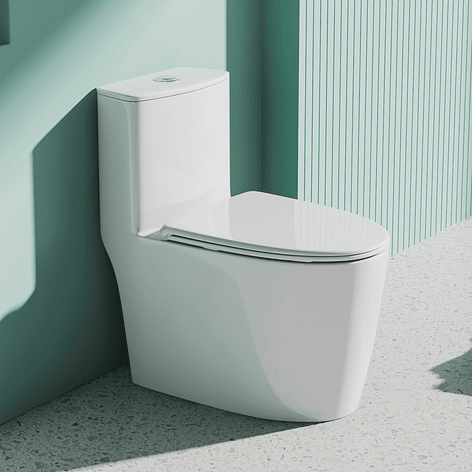 WC One Piece Joytek Demarks 2048 Descarga a Piso 30 cm 4