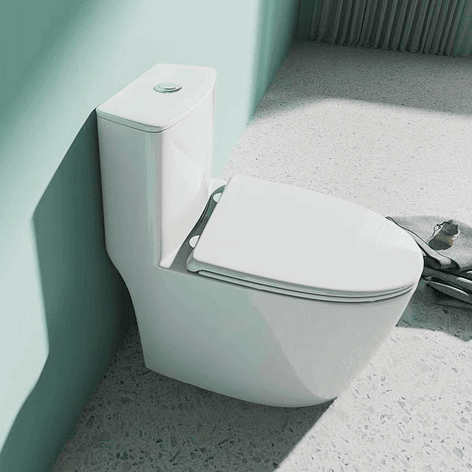 WC One Piece Joytek Demarks 2048 Descarga a Piso 30 cm 9