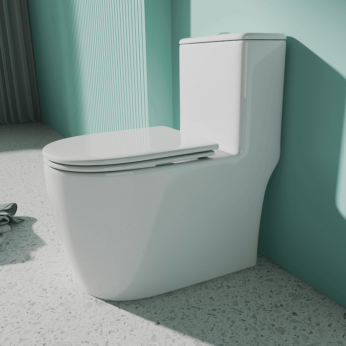 WC One Piece Joytek Demarks 2011 Descarga a Piso 30 cm 7