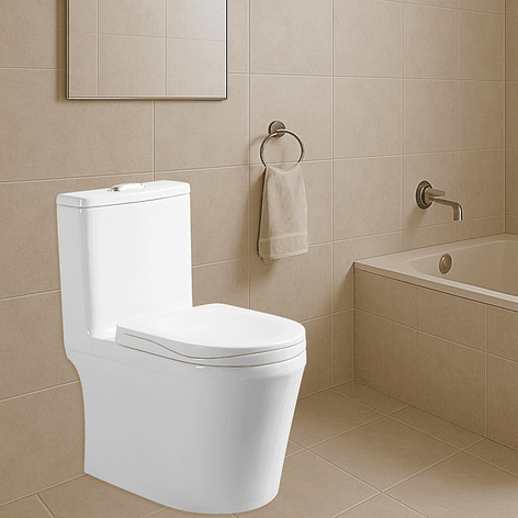 WC One Piece Joytek Demarks 2020 Descarga a Piso 30 cm 5