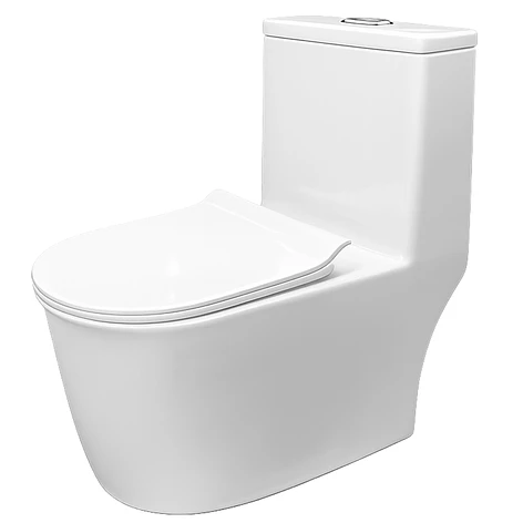WC One Piece Design 2045 Joytek Descarga a Piso 30 cm Blanco  7