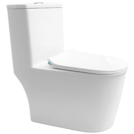 WC One Piece Design 2045 Joytek Descarga a Piso 30 cm Blanco  6