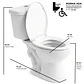 WC Two Piece Joytek para Discapacitados (Altura Ajustada) Descarga a Piso 30 cm - Miniatura 1