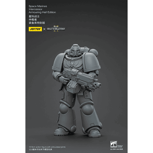 Space Marines Intercessor Edición de Armado 2