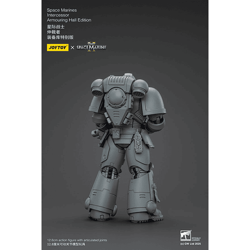 Space Marines Intercessor Edición de Armado 3