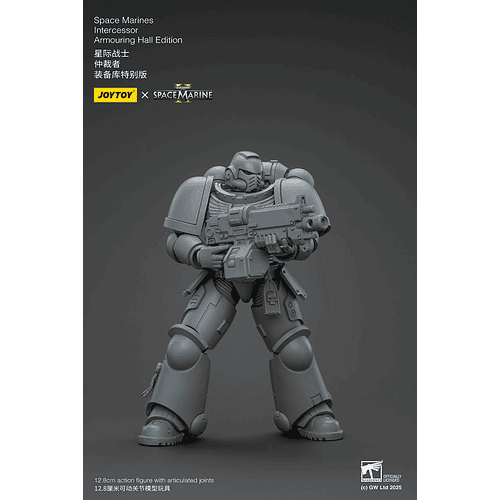 Space Marines Intercessor Edición de Armado 4