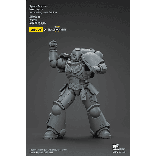 Space Marines Intercessor Edición de Armado 5
