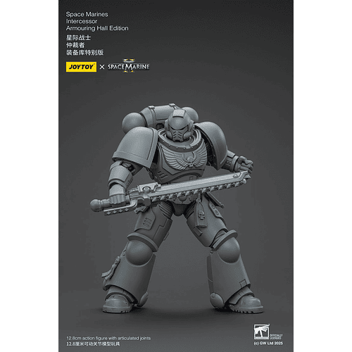 Space Marines Intercessor Edición de Armado 6