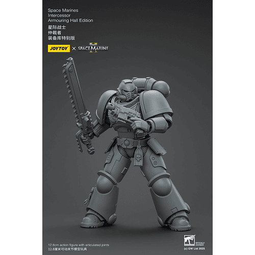 Space Marines Intercessor Edición de Armado 7