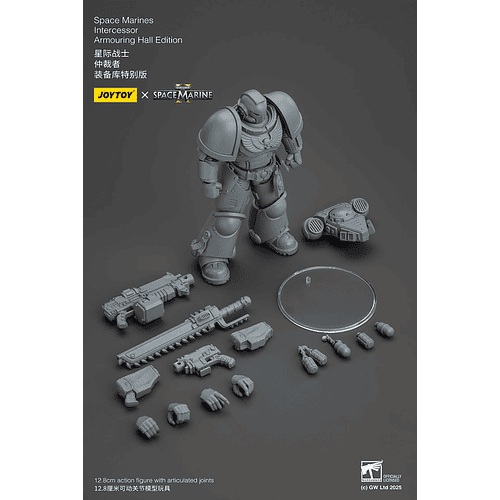 Space Marines Intercessor Edición de Armado 8