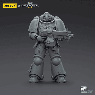 Space Marines Intercessor Edición de Armado