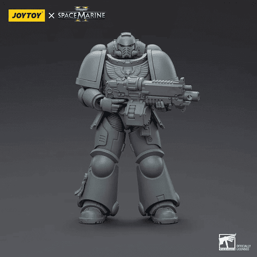 Space Marines Intercessor Edición de Armado 1