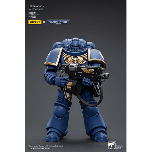 Ultramarines Intercessors 2