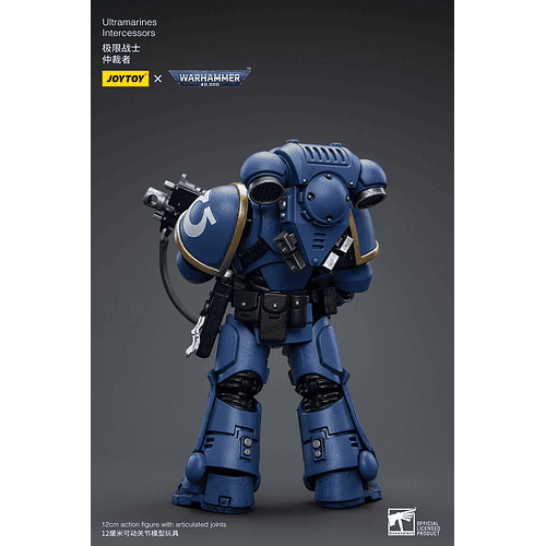 Ultramarines Intercessors 3