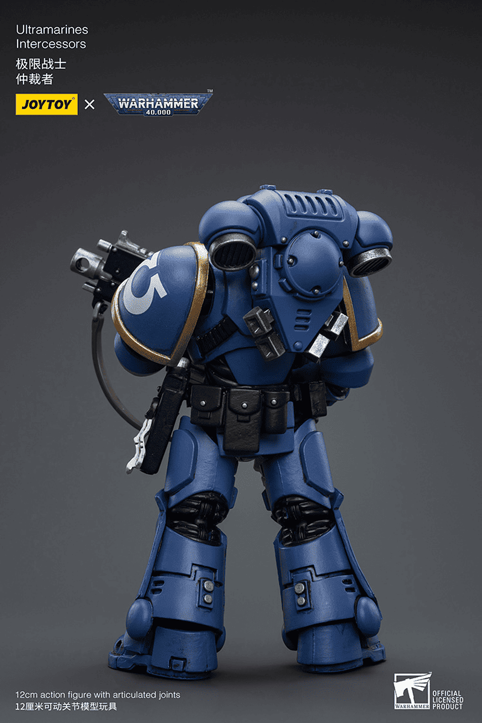 Ultramarines Intercessors 3