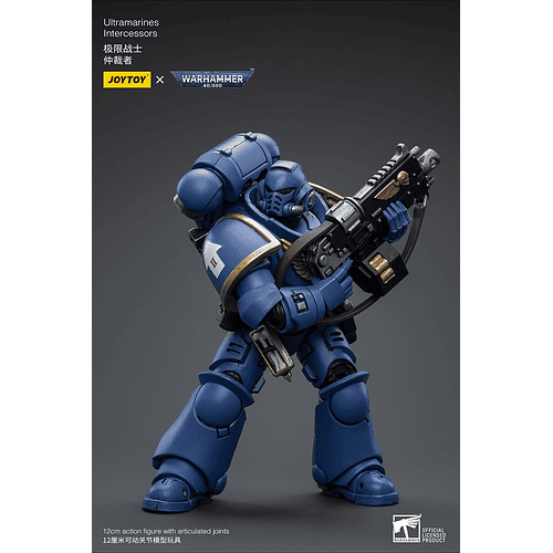 Ultramarines Intercessors 5