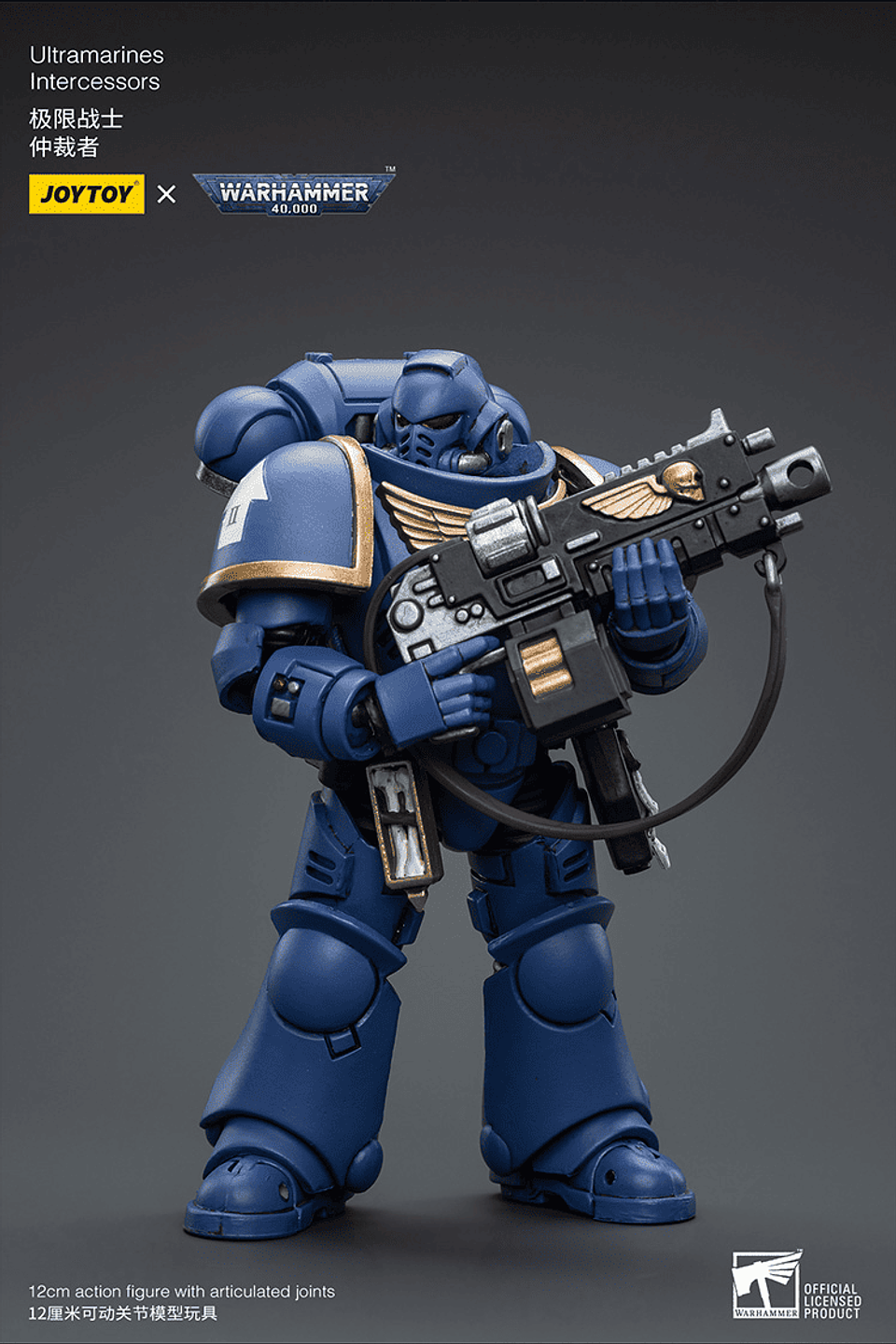 Ultramarines Intercessors 8