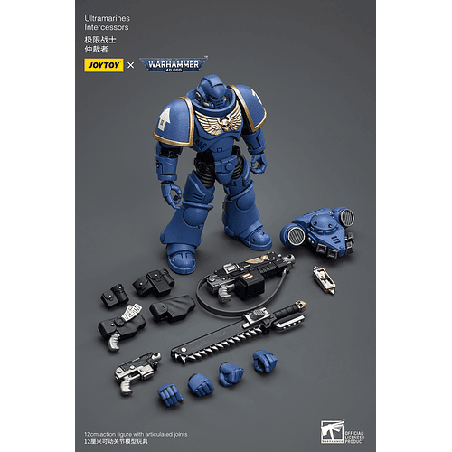 Ultramarines Intercessors 9