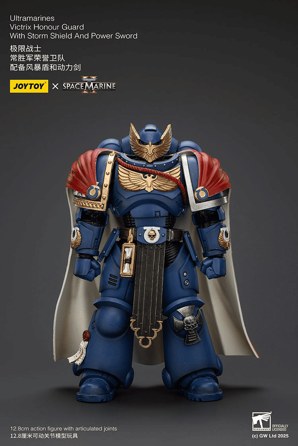 Ultramarines Guardia de Honor Victrix con Escudo de Tormenta y Espada de Poder 2