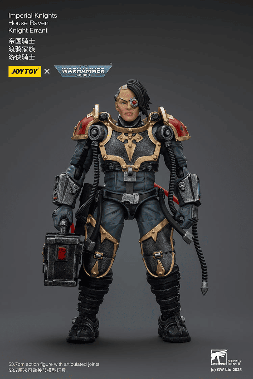 Imperial Knights Casa Cuervo Caballero Errante 10