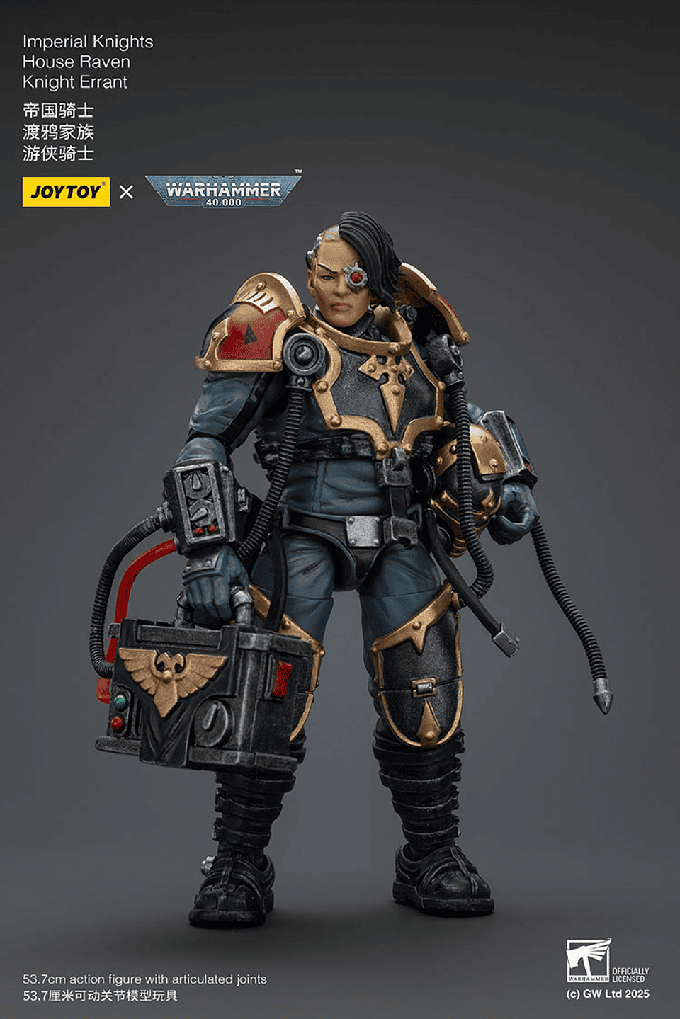 Imperial Knights Casa Cuervo Caballero Errante 11