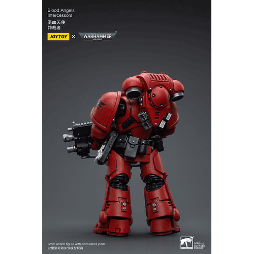 Blood Angels Intercessors 3