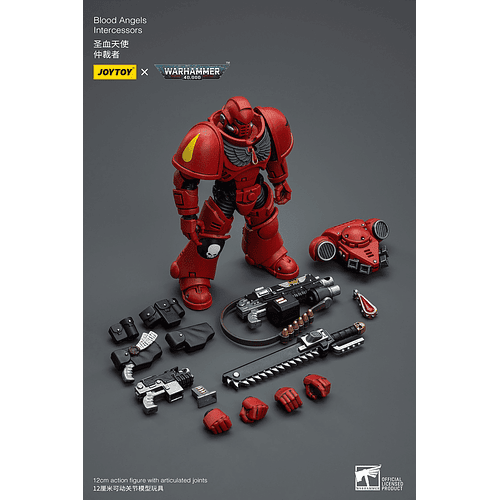 Blood Angels Intercessors 8