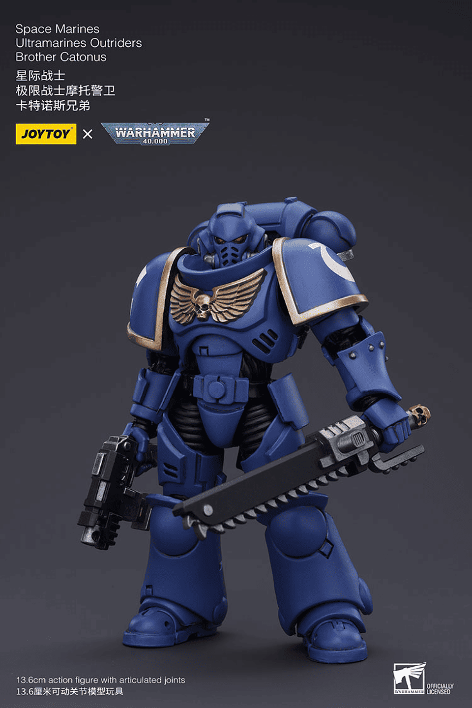 Ultramarines Outriders Brother Catonus 4