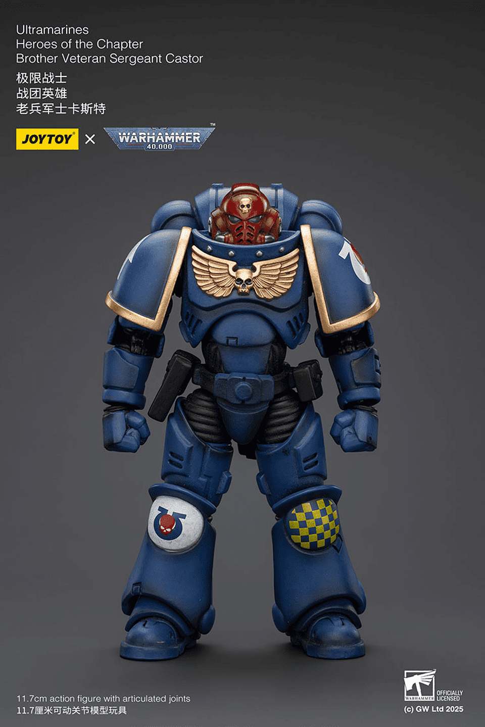 Ultramarines Héroes del Capítulo Hermano Veterano Sargento Castor 2