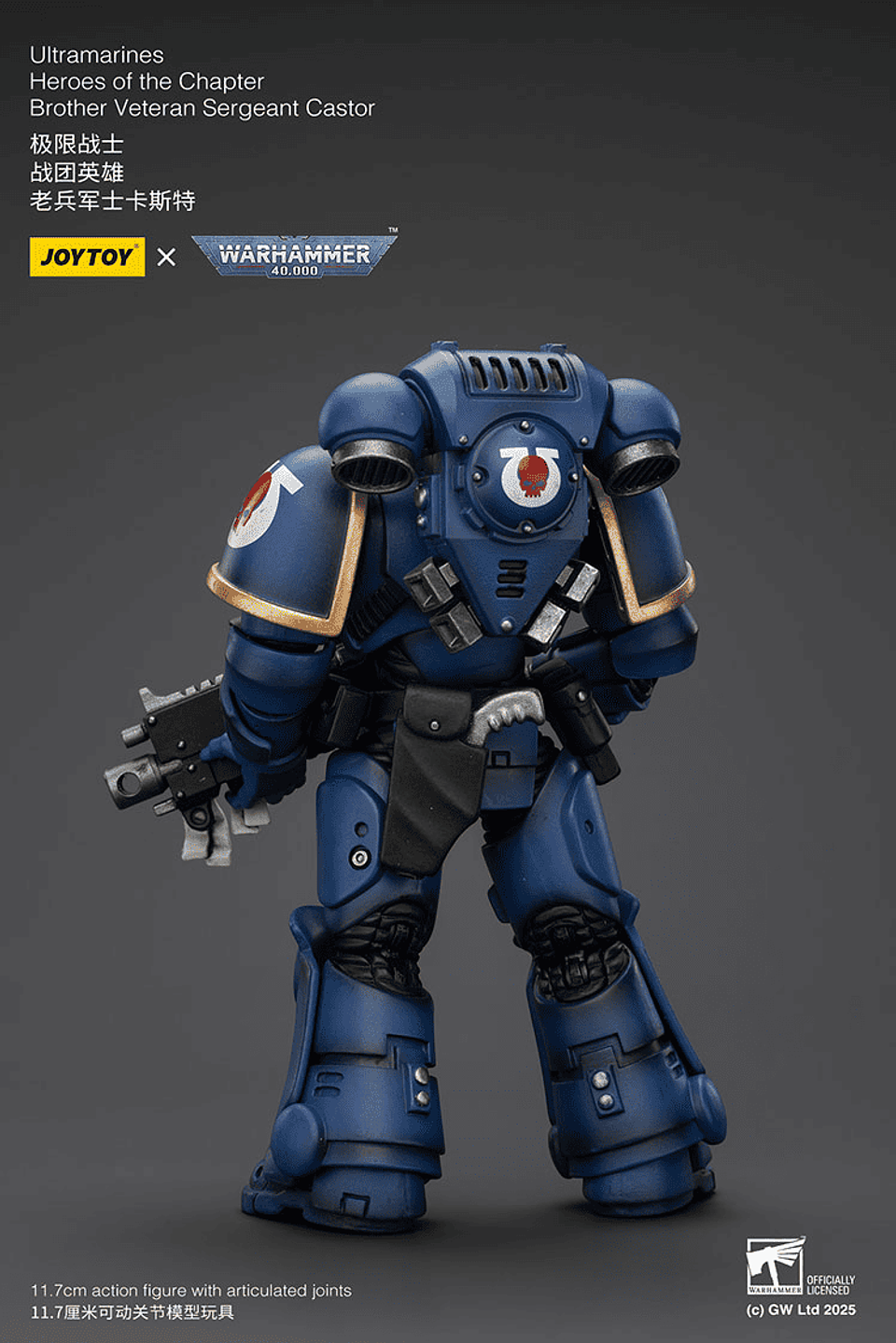 Ultramarines Héroes del Capítulo Hermano Veterano Sargento Castor 5