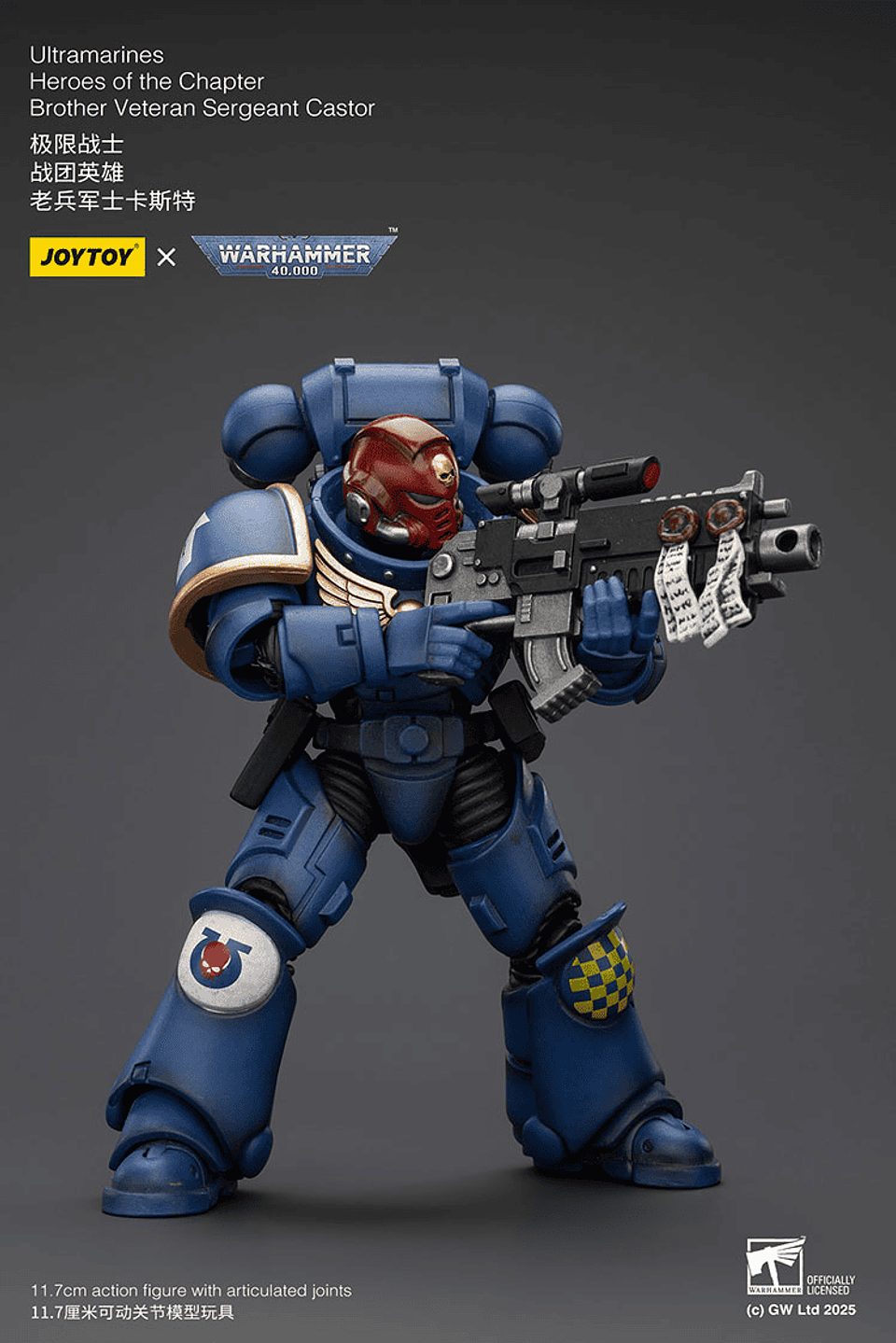 Ultramarines Héroes del Capítulo Hermano Veterano Sargento Castor 6
