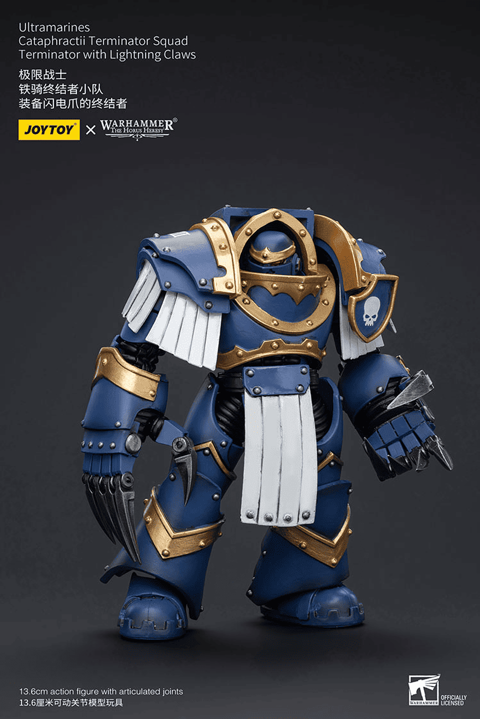Ultramarines Escuadrón de Terminadores Cataphractii 8