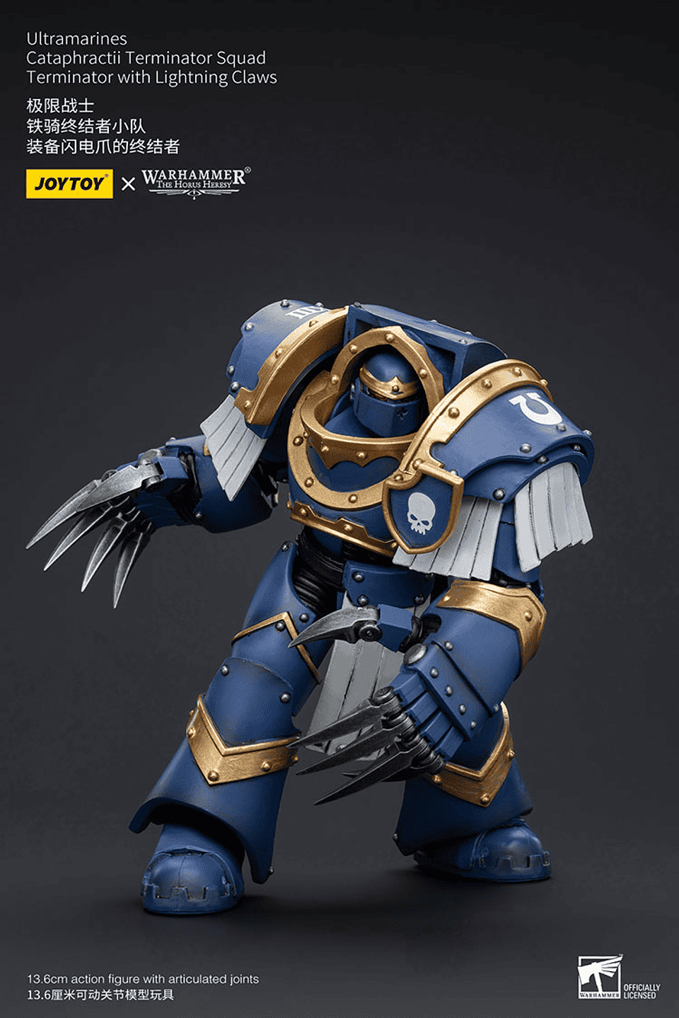 Ultramarines Escuadrón de Terminadores Cataphractii 10