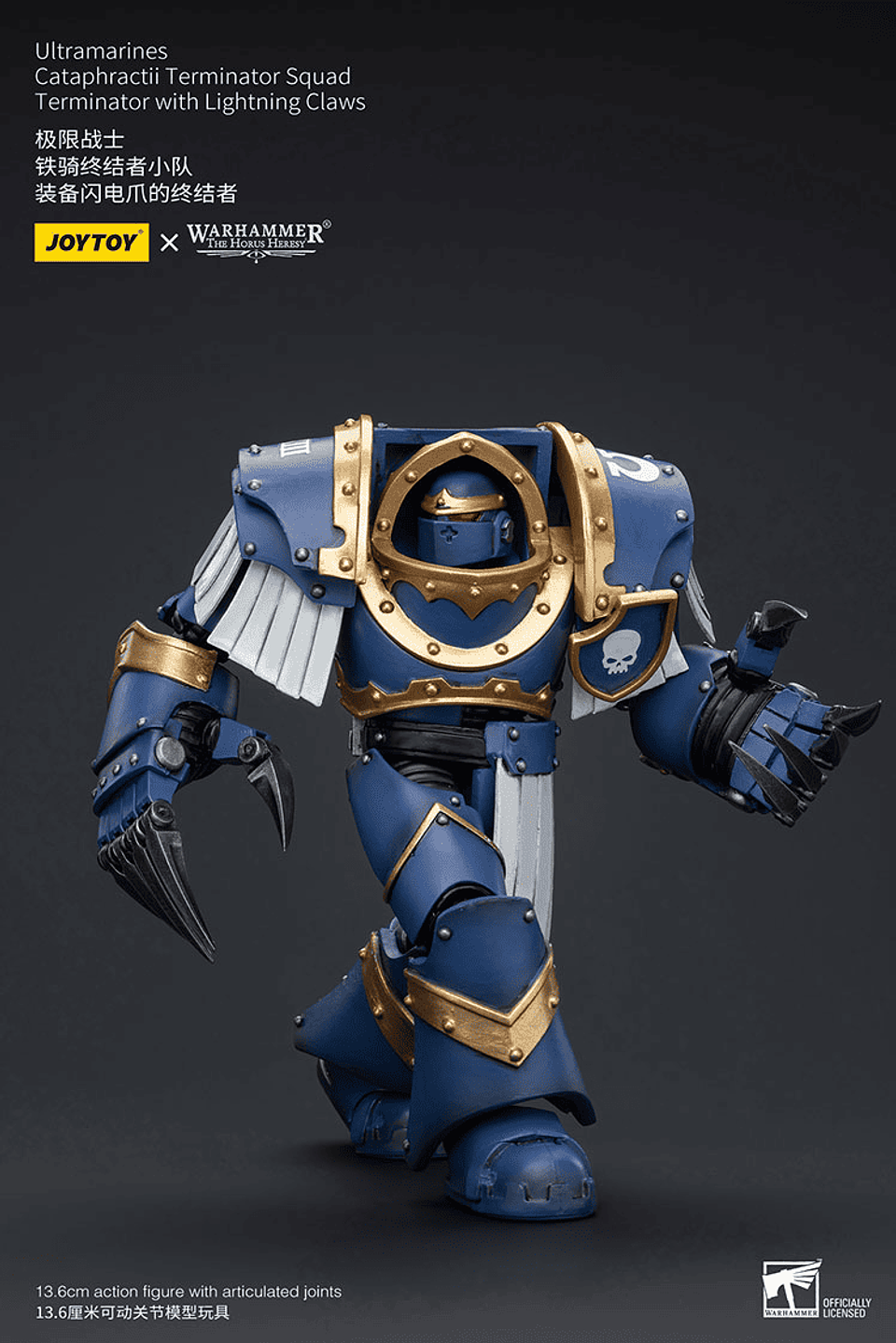 Ultramarines Escuadrón de Terminadores Cataphractii 11