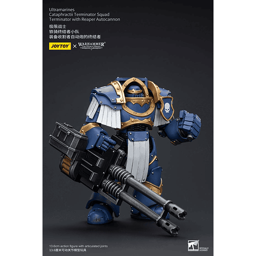 Ultramarines Escuadrón de Terminadores Cataphractii 14