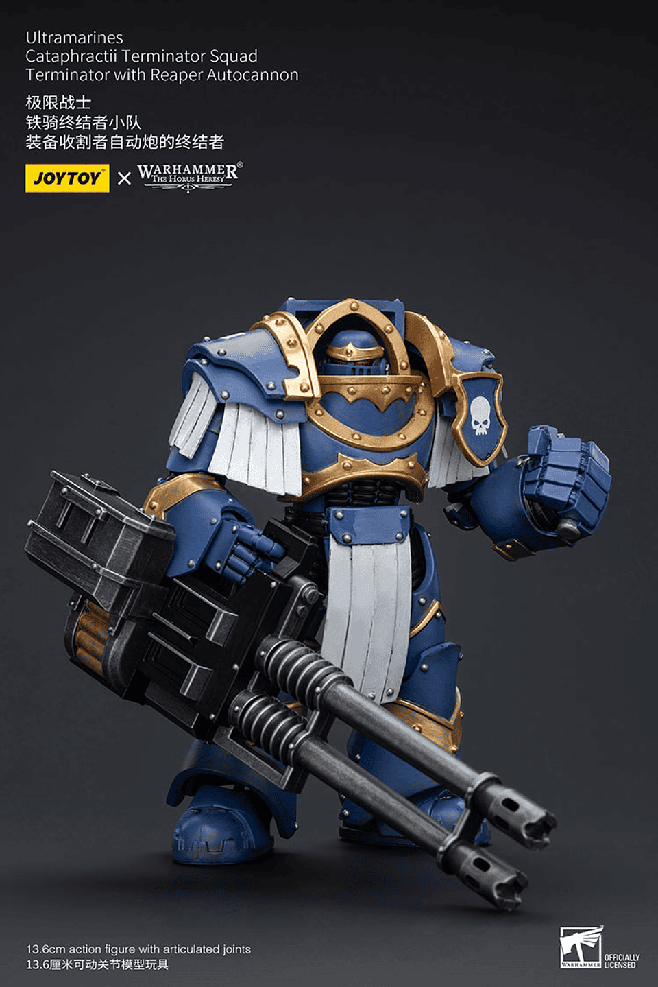 Ultramarines Escuadrón de Terminadores Cataphractii 14
