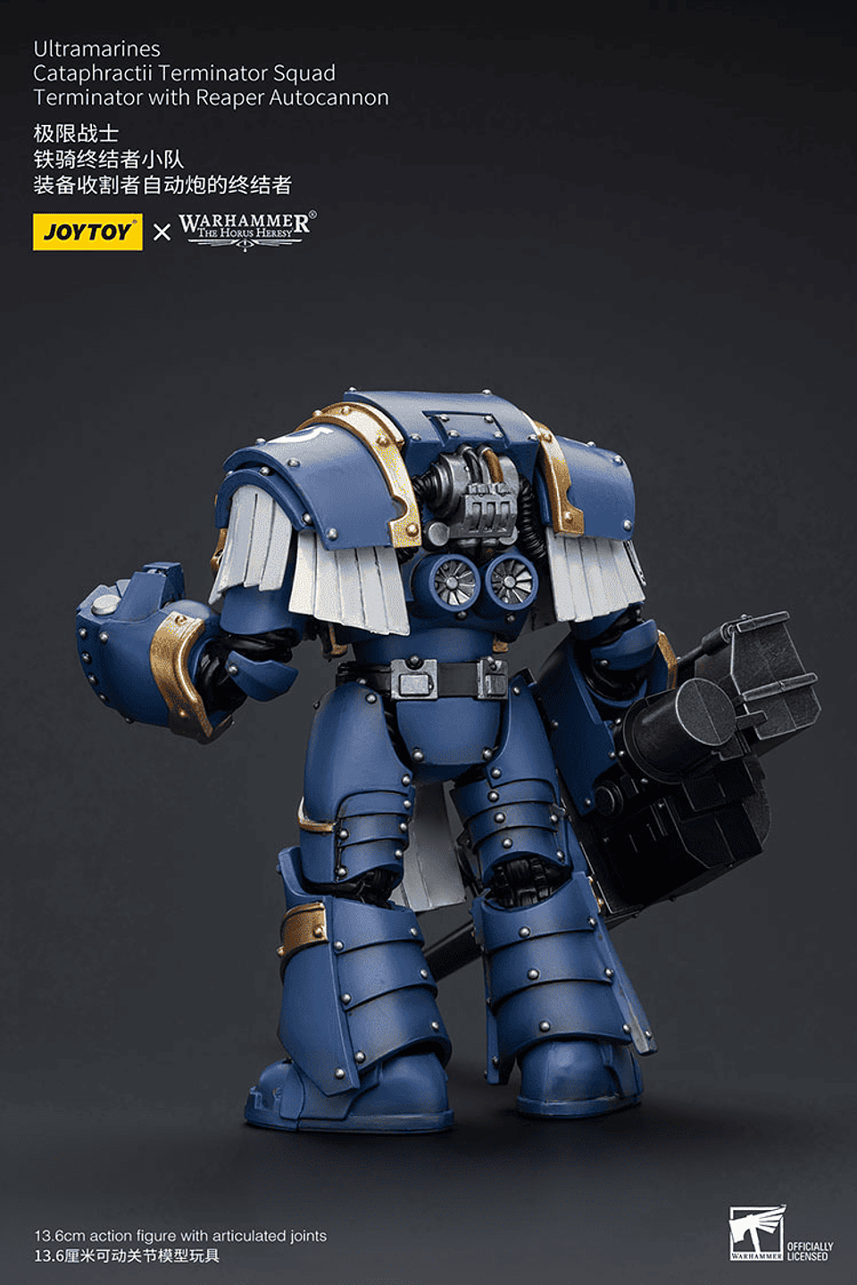 Ultramarines Escuadrón de Terminadores Cataphractii 15