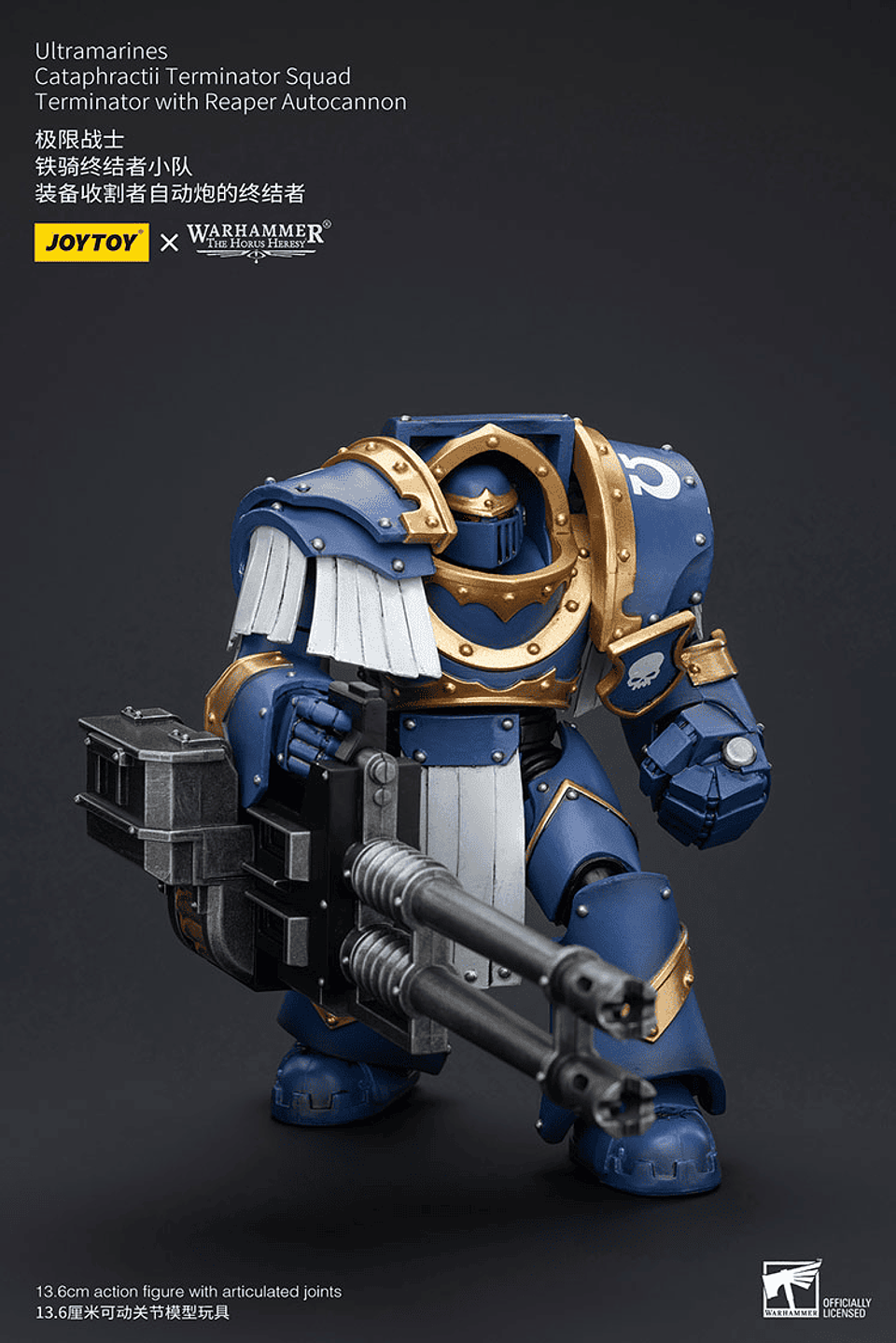 Ultramarines Escuadrón de Terminadores Cataphractii 16