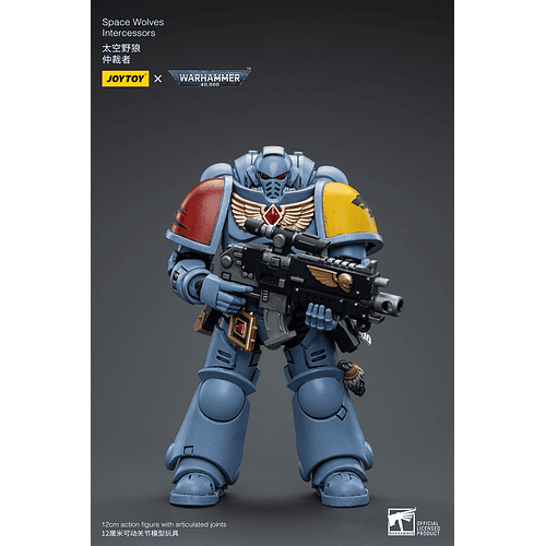 Space Wolves Intercessors 2