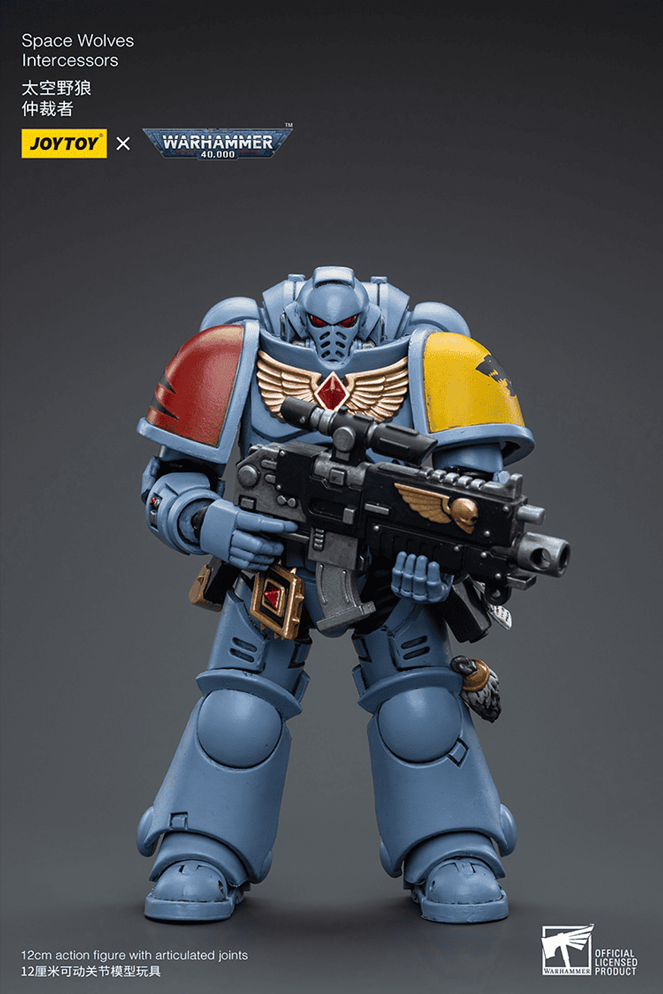 Space Wolves Intercessors 2