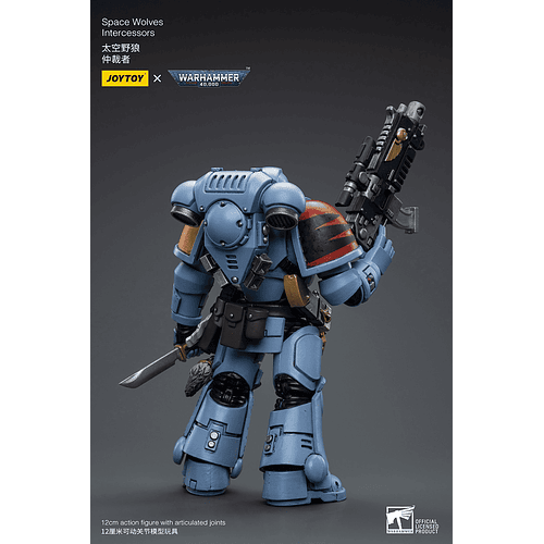 Space Wolves Intercessors 3