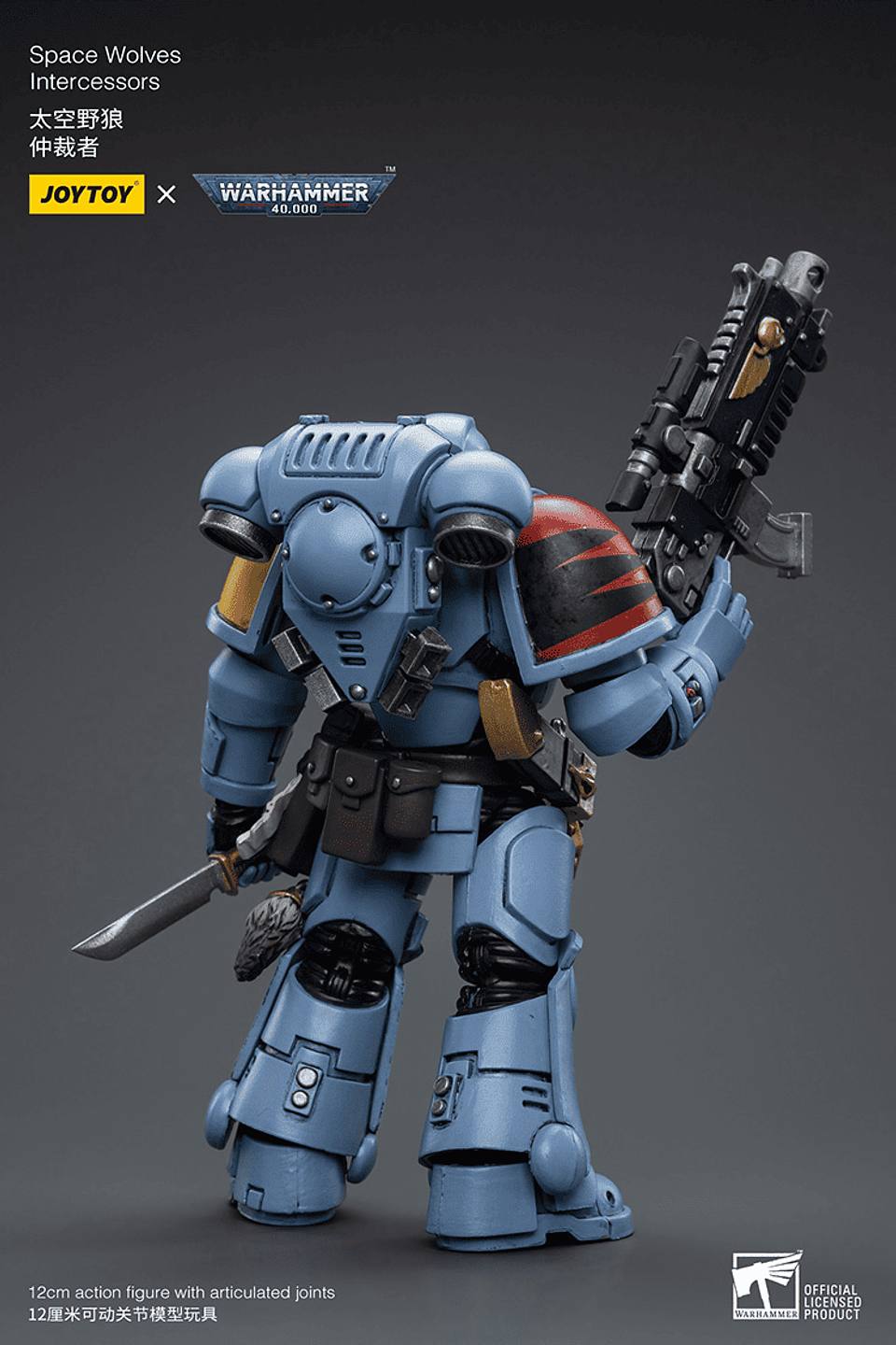 Space Wolves Intercessors 3