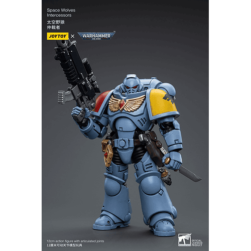 Space Wolves Intercessors 4