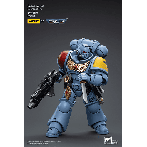 Space Wolves Intercessors 5