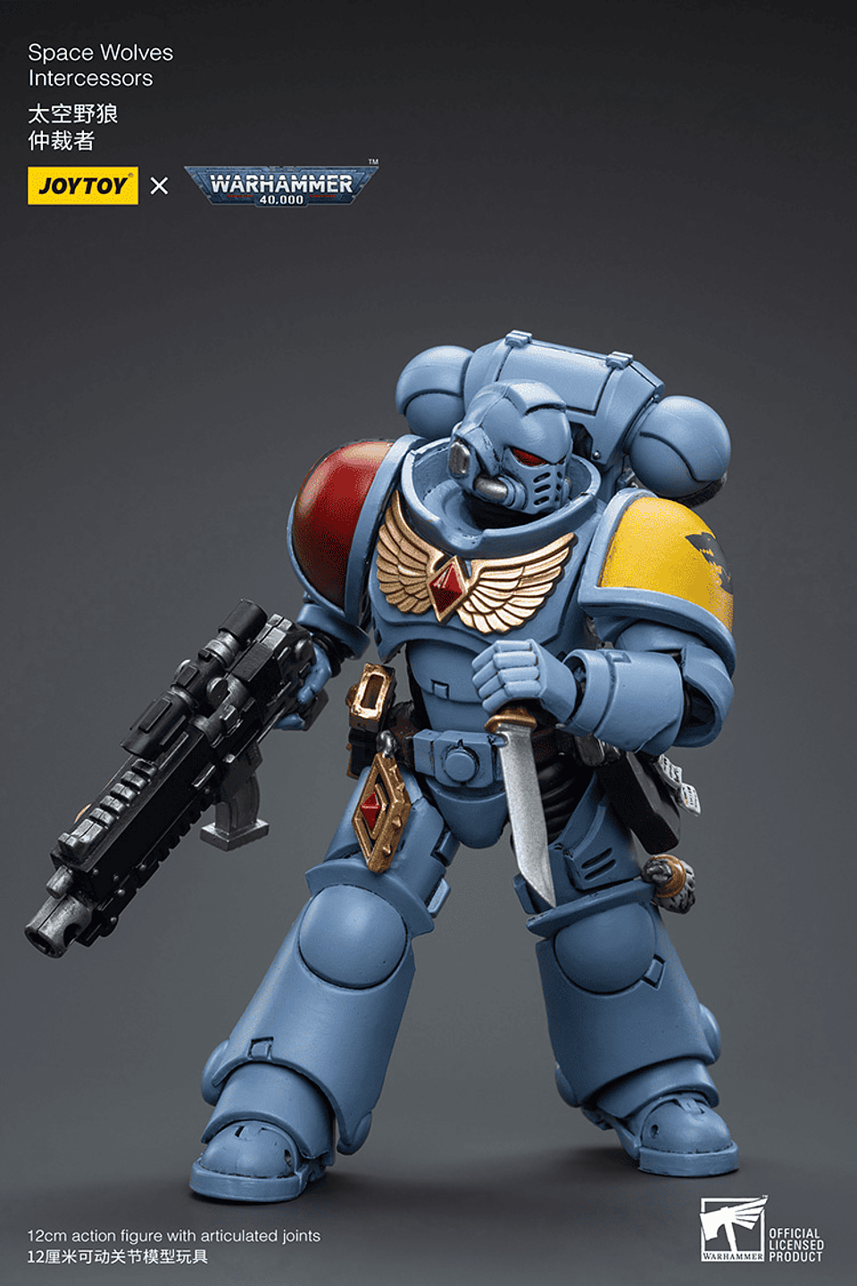 Space Wolves Intercessors 5